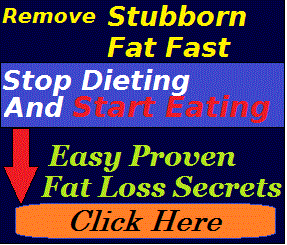 the diet solution program