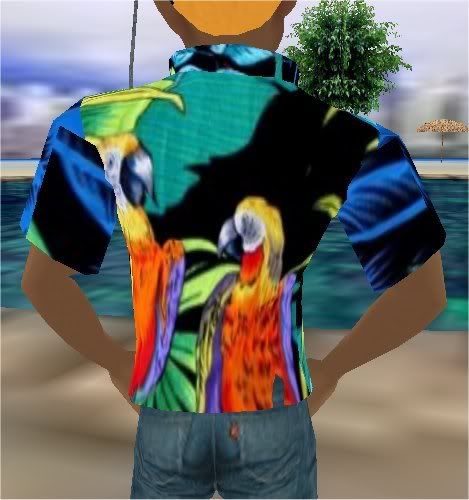 Hawiian parrots shirt