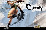 th_cammy_wide-1.jpg