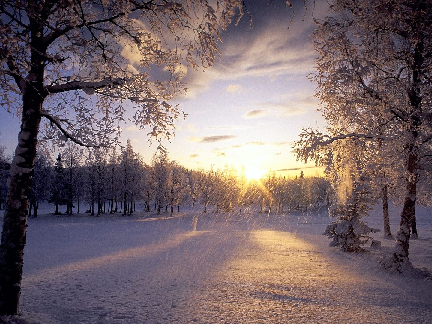 snow sunset Pictures, Images and Photos
