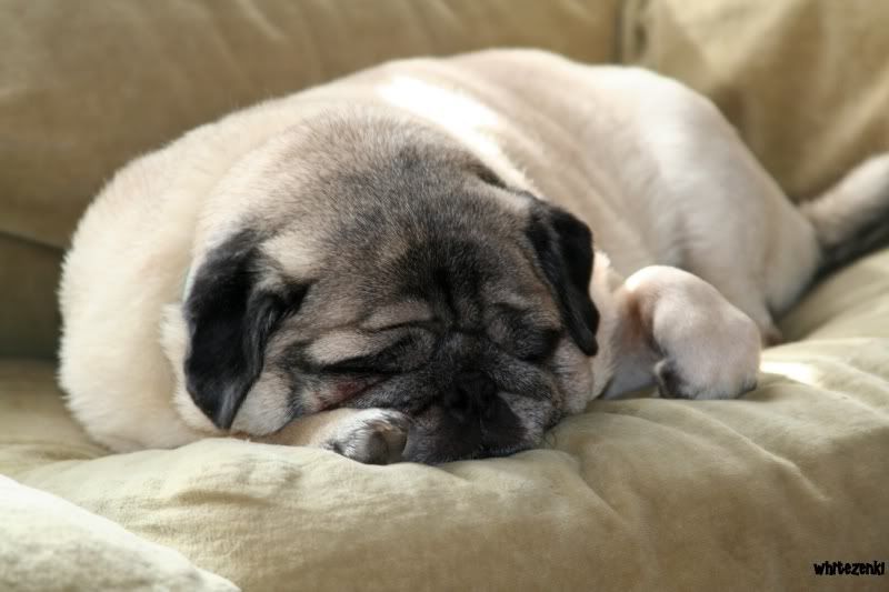 IMAGE: http://i43.photobucket.com/albums/e373/xcusememisswyn/Forum%20Resizes/IMG_22702.jpg