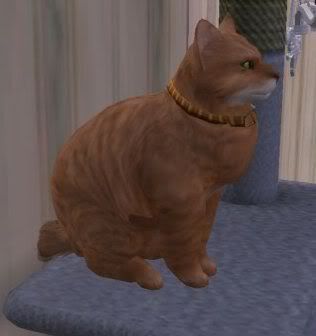 Garfield.jpg