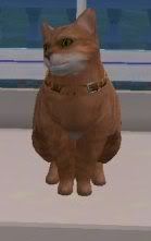 Garfield2.jpg