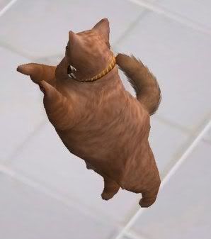 Garfield3.jpg