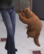 GarfieldVarian.jpg