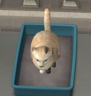 Morgana.jpg