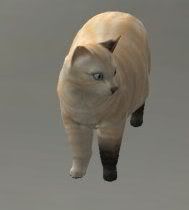 Morgana2.jpg