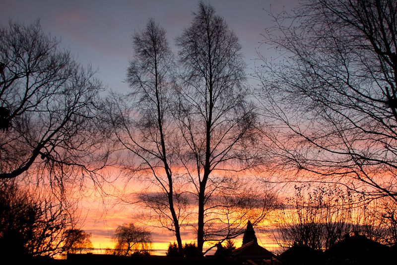 IMAGE: http://i43.photobucket.com/albums/e375/Exfangman/20111225-_MG_0928.jpg