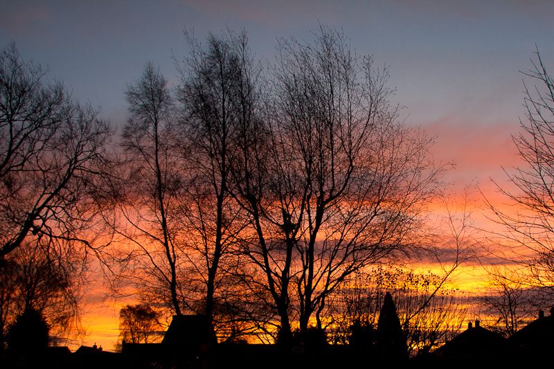 IMAGE: http://i43.photobucket.com/albums/e375/Exfangman/20111225-_MG_0929.jpg