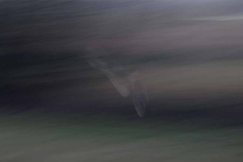 IMAGE: http://i43.photobucket.com/albums/e375/Exfangman/Fendusk-4.jpg