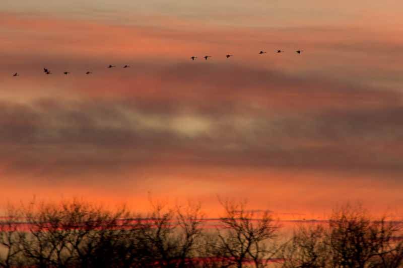 IMAGE: http://i43.photobucket.com/albums/e375/Exfangman/Fendusk-7.jpg