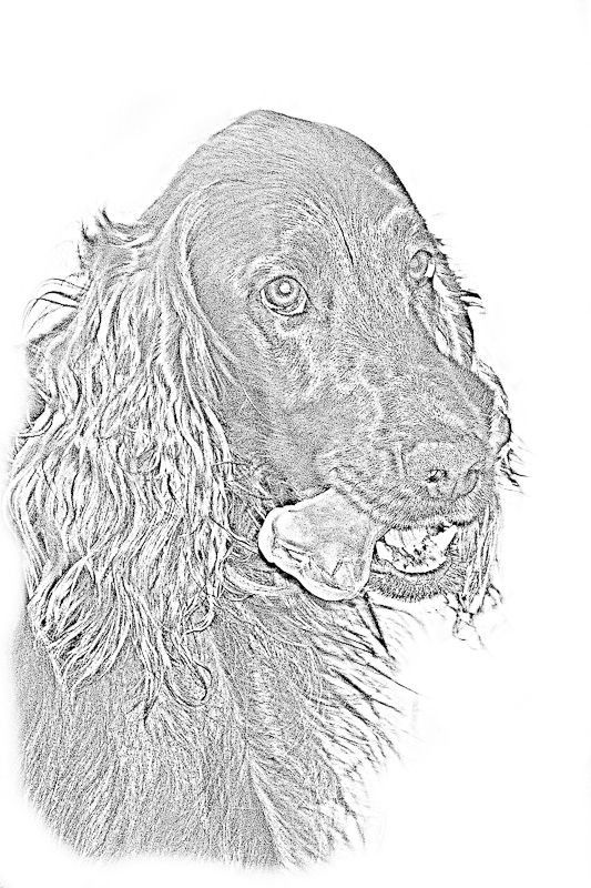 IMAGE: http://i43.photobucket.com/albums/e375/Exfangman/_MG_0191-Edit.jpg