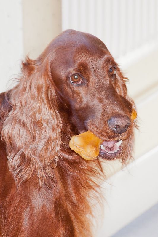 IMAGE: http://i43.photobucket.com/albums/e375/Exfangman/_MG_0191.jpg