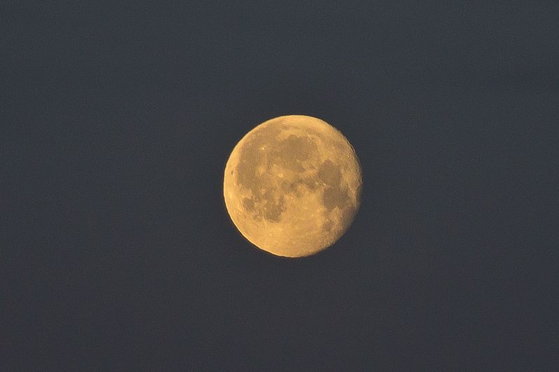 IMAGE: http://i43.photobucket.com/albums/e375/Exfangman/dawn11-1-12-5.jpg