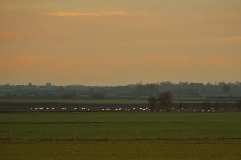 IMAGE: http://i43.photobucket.com/albums/e375/Exfangman/dawn11-1-12-8.jpg