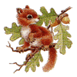 theekhoorn13-1.gif herfst image by rooiecarla580
