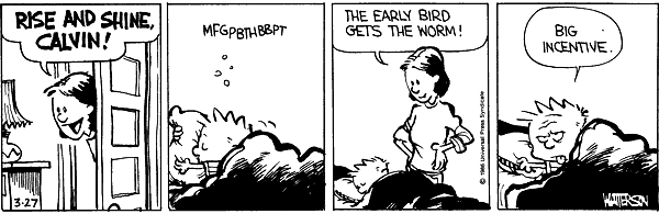 Early Bird Pictures, Images and Photos