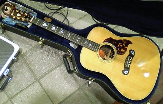Looking for a Gibson Dove Artist... - The Acoustic Guitar ...