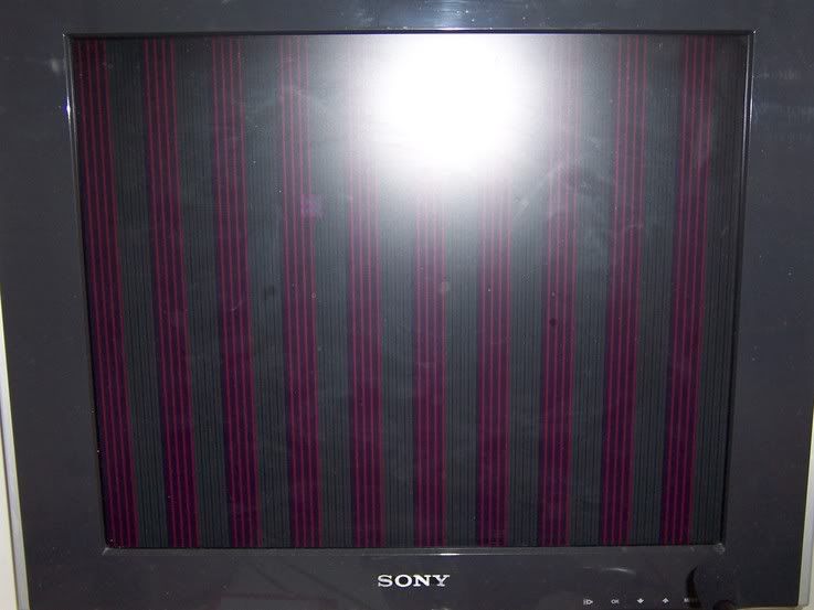 100_0296.jpg
