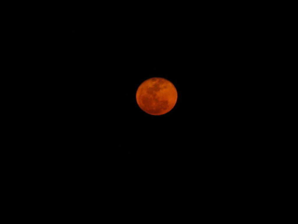 IMG_3800.jpg