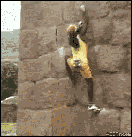 1329378041030.gif
