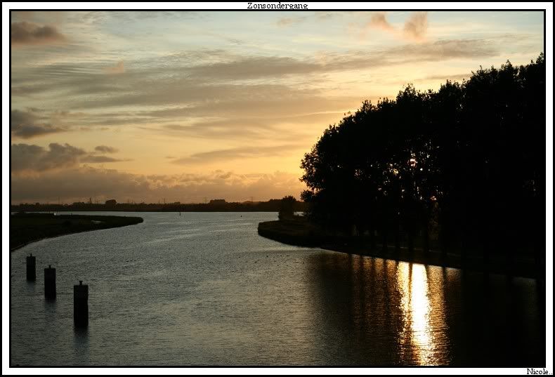 Fotografie