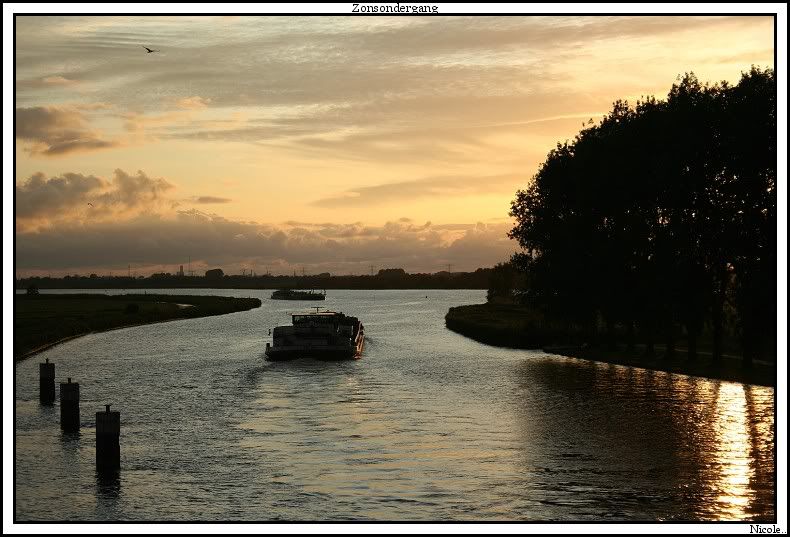 Fotografie