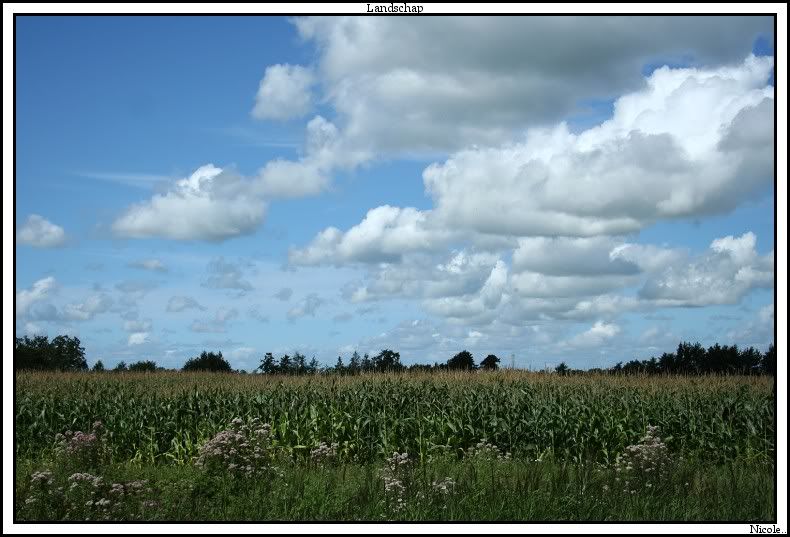 Fotografie