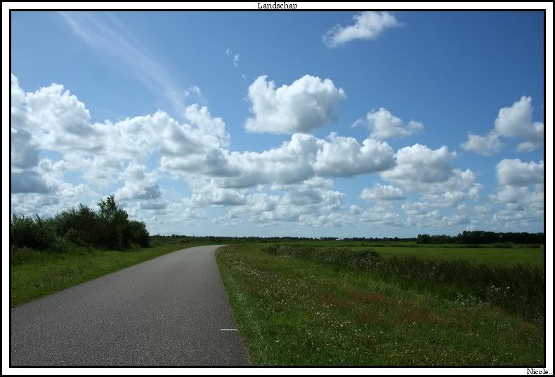 Fotografie