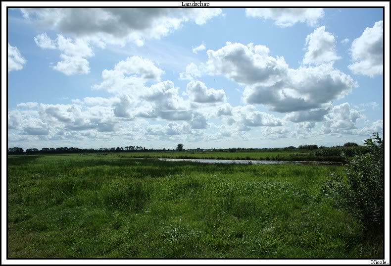 Fotografie