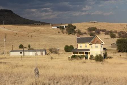 Starting Goats...why is it so hard? - Goats