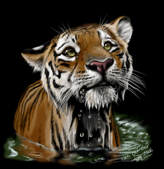 Posted Image