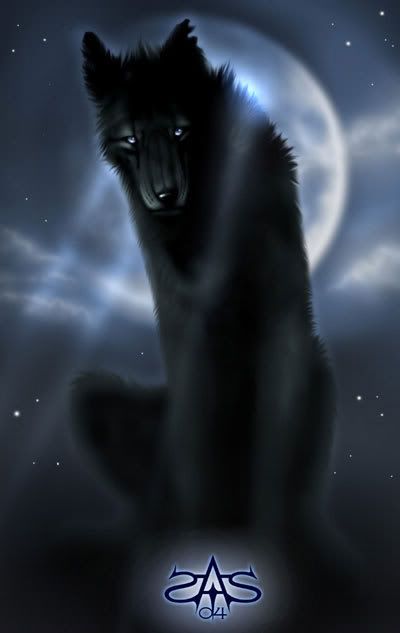 Posted Image