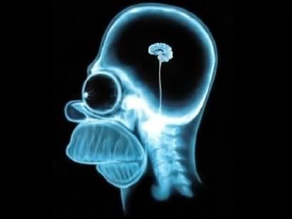 Homer Simpson's brain photo: cerveau homer homer-simpson-brain-1024.jpg