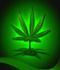 Marijuana Leaf Chair