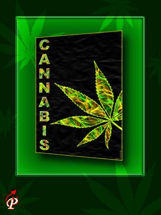 Cannibus Yellow Poster
