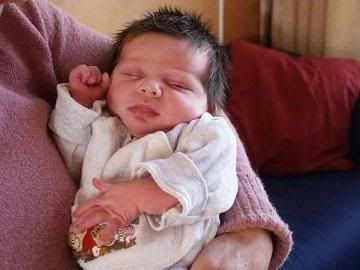 [img width=360 height=270]http://i43.photobucket.com/albums/e383/daimy2006/ho.jpg[/img]