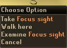 RSFocusSight1.png