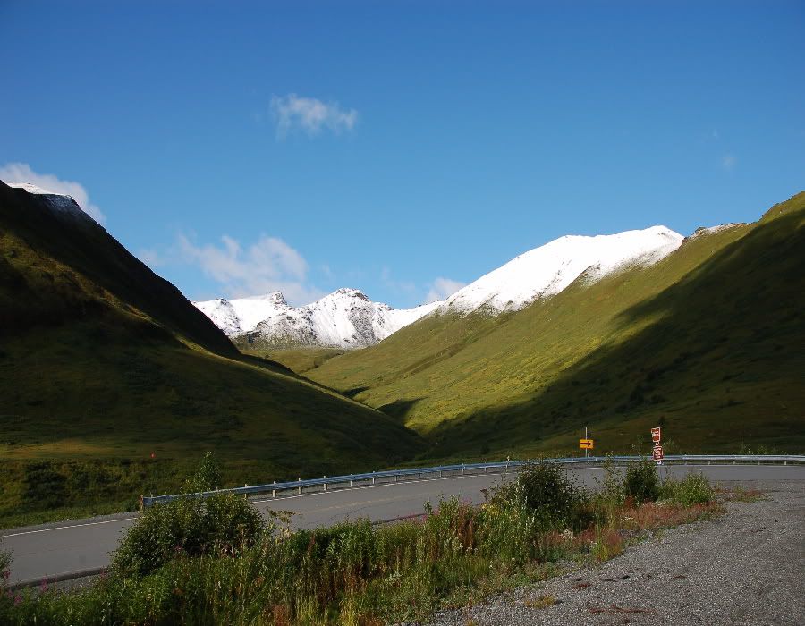 h11-1.jpg