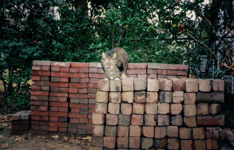 http://i43.photobucket.com/albums/e386/brickpaver/train%20station%20bricks%201996%20chloe%20.jpg 
