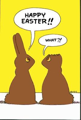 chocolate-easter-bunnies-2.jpg