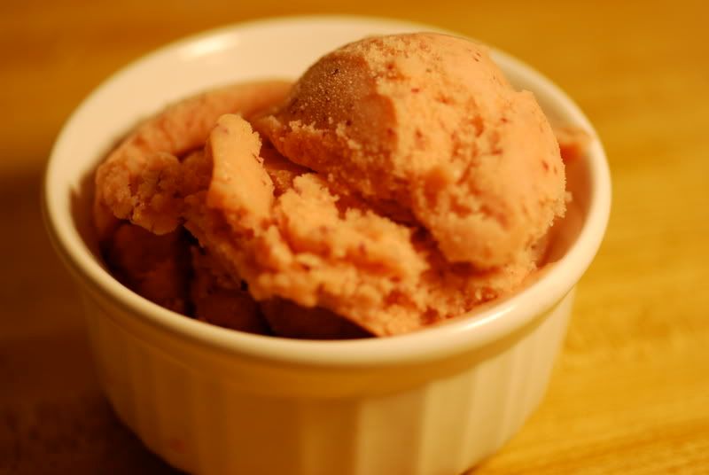 Cranbanana Soy Ice Cream Cooking at the Pacific Outpost