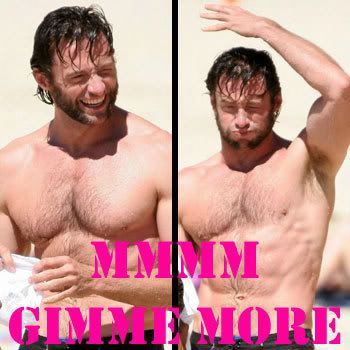 <img:http://i43.photobucket.com/albums/e390/Perfectfifth/hughshirtlessmore.jpg>