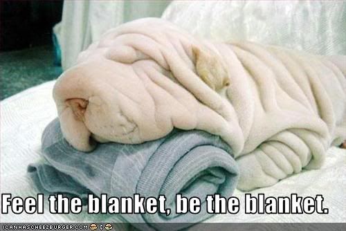 blanket.jpg