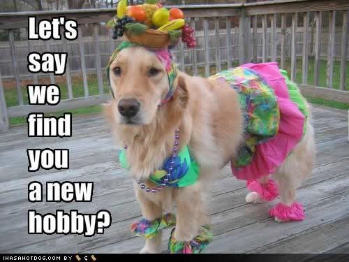 newhobby.jpg
