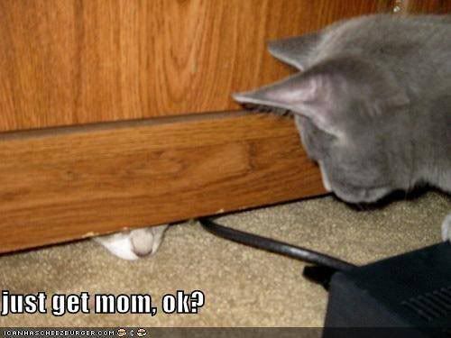 getmom.jpg