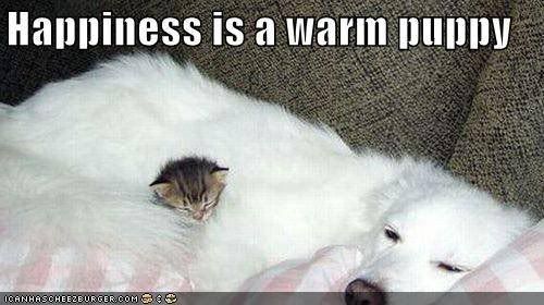 happiness.jpg