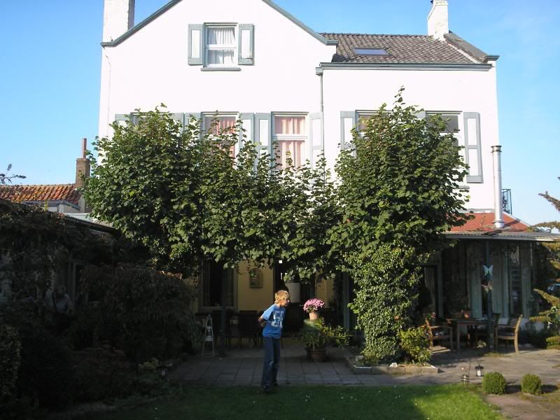 Afbeelding