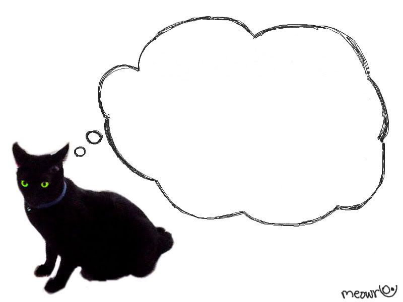 the cat is black.