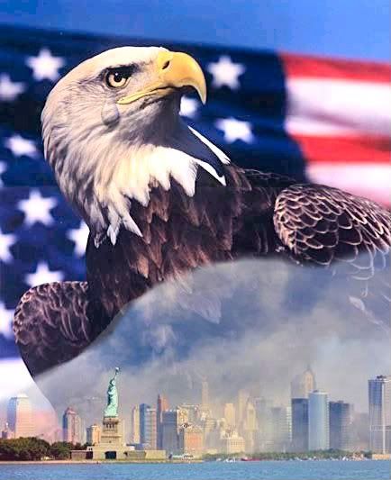 911 graphic photo: 911-Eagle eagle-flag-ny435.jpg